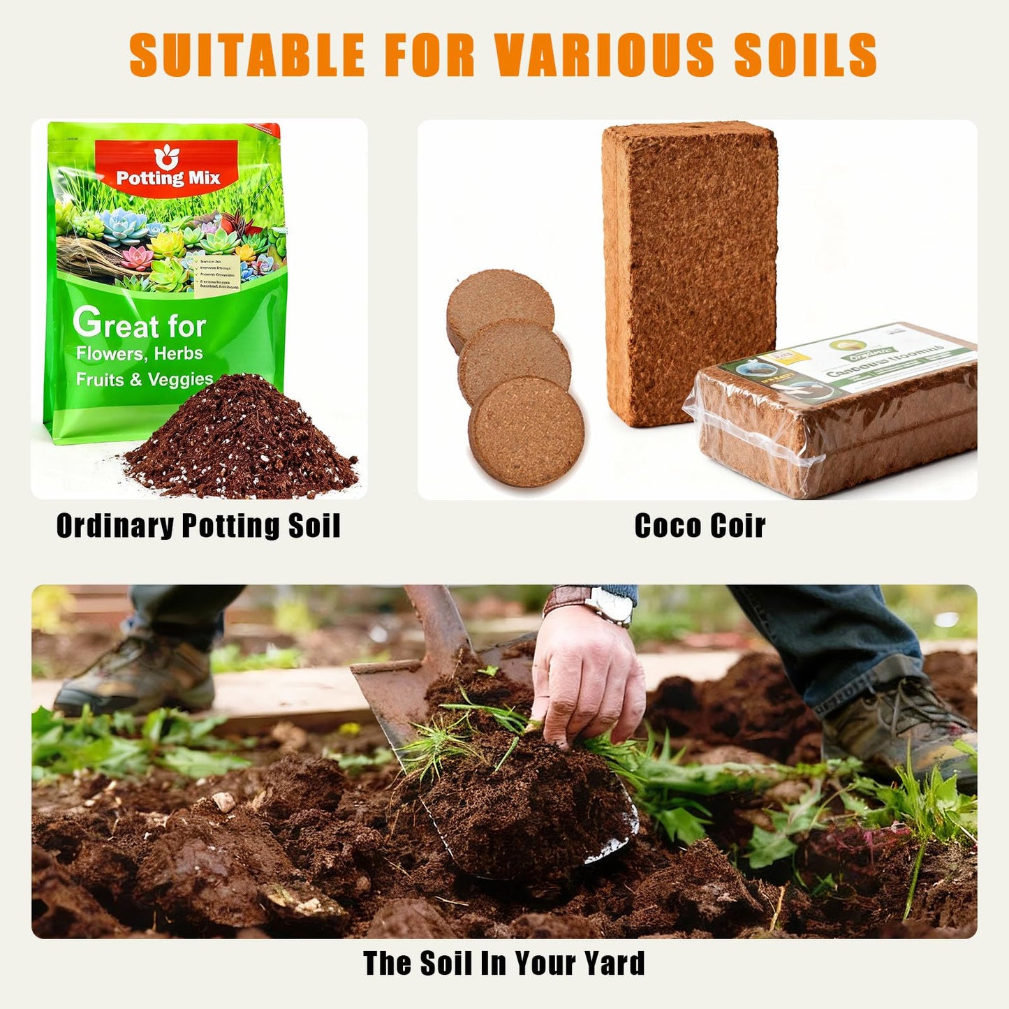 BENPIN Self-Watering Cat Grass Planter (no Seed Included), with Drainage Holes and Anti-Digging Design, Wheat Grass Growing Pot, Cat Grass for Indoor Cats Pets (1)