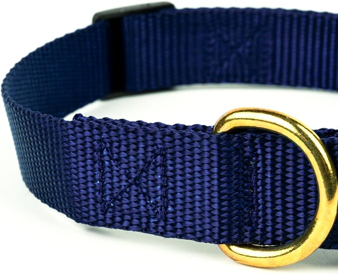 Country Brook Petz - Everyday Nylon Dog Collar and Leash - 10+ Cool Colors (3/4 Inch, Small, Navy Blue)