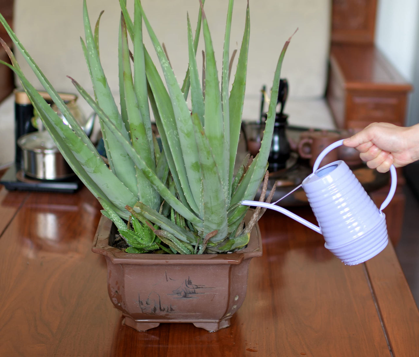 HORTICAN Small Watering Can, 0.3 Gallon/34oz., Violet Purple, Galvanized, Indoor Water Can, Metal Watering Can with Long Spout, Plant Water Can for Indoor Plants