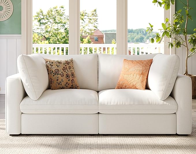 LINSY HOME Modern 2-Seater Sofa, Customizable Living Room Furniture