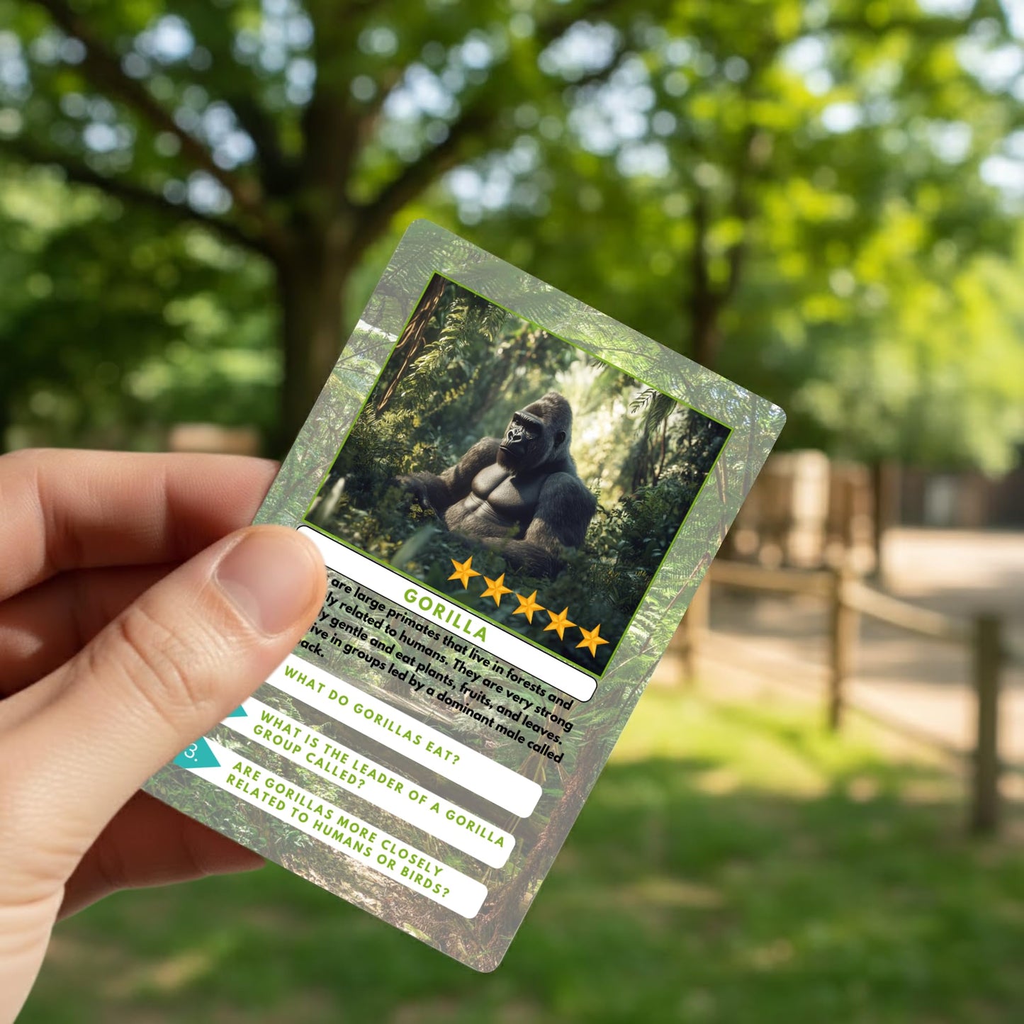 Little Known Truths Zoo Animal Trivia Flash Cards for Kids, Learn About Lions, Monkeys, Elephants & More, Educational Learning Flashcards with Fun Facts & Quiz Questions – Great STEM Gift for Ages 3-5