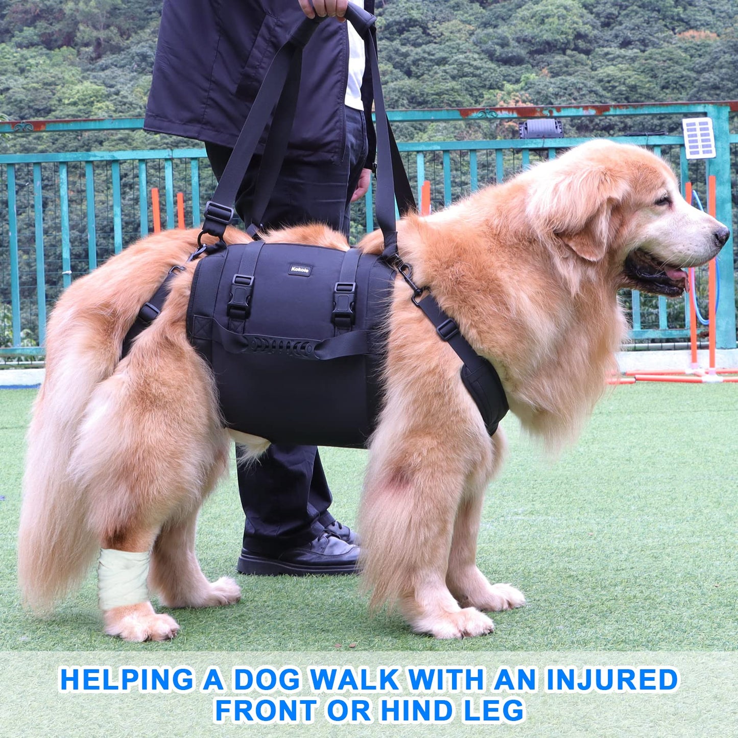 Dog Carry Sling, Emergency Backpack Pet Legs Support & Rehabilitation Dog Lift Harness for Large Dogs, Dog Carrier for Senior Dogs Joint Injuries, Arthritis, Up and Down Stairs (Black, XXL)