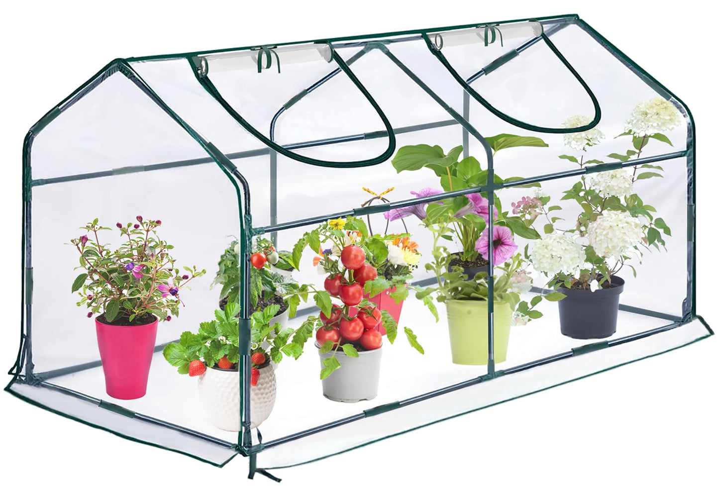 KBOROVER Mini Greenhouse for Outdoor,Portable Small Tunnel Greenhouses for Outdoors with Roll up Zipper Door for Gardening Plant,UV Waterproof Cover with 8 Ground Stakes (Clear, 71" x 36" x 36")