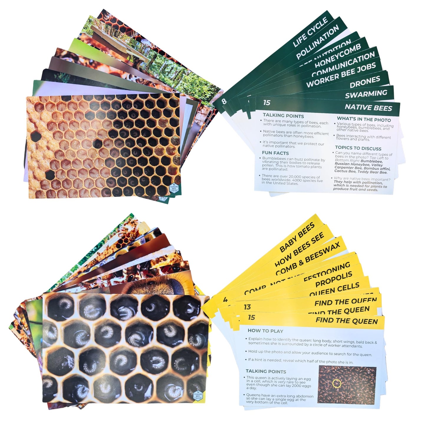 Educational Beekeeping Cards – 12x18 Oversized Beekeeping Flashcards for Teaching Bees and Beekeeping - Classroom and Workshop Learning Tool (Expansion Set - Heavy Card Stock)