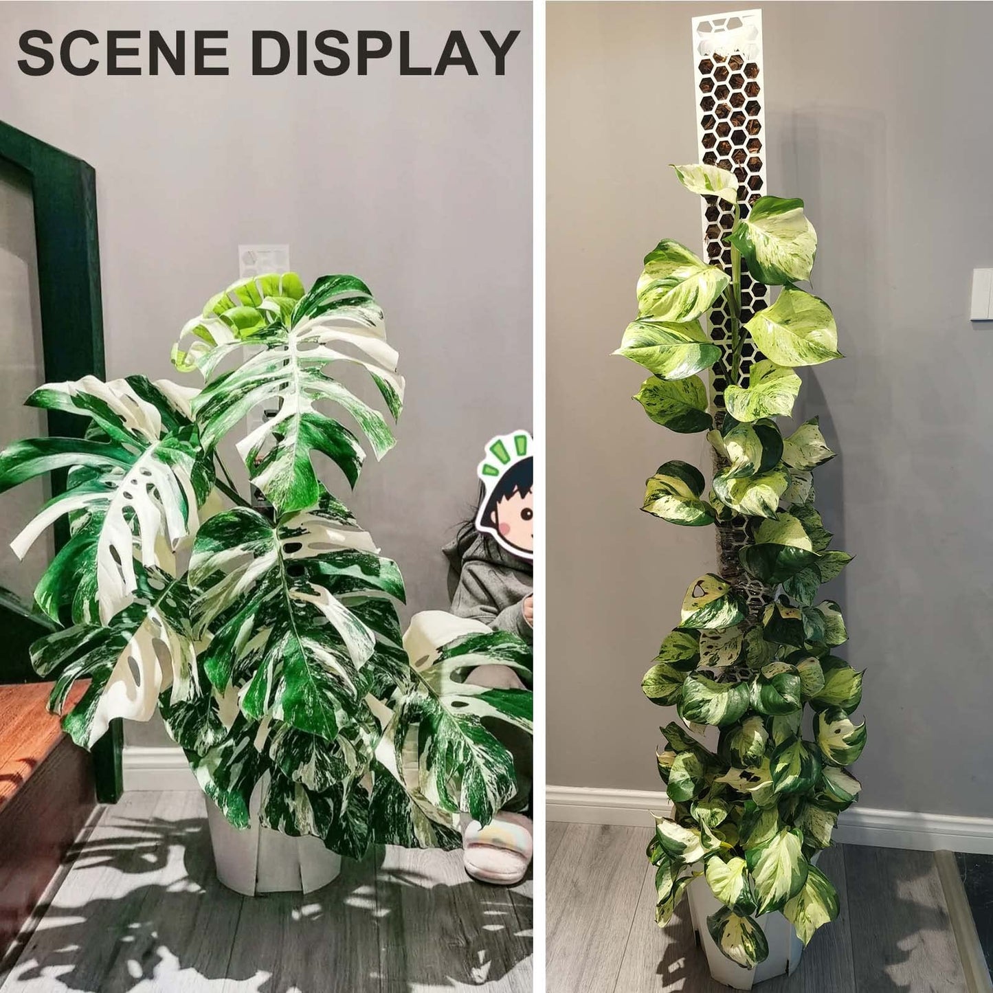 Haispring 8 Pcs 17 Inch Plastic Moss Pole for Plants Monstera,Designed Specifically for Climbing Plants, Stackable Plant Support for Indoor Plants