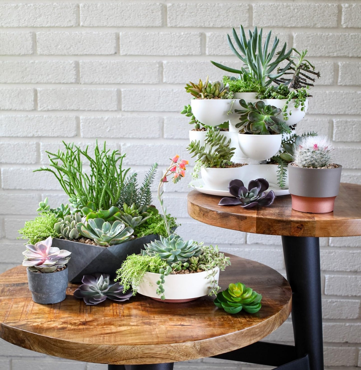 The HC Companies 8 Inch Round Plastic Succulent Capri Bowl 8"x8"x3" in Faux Concrete Color