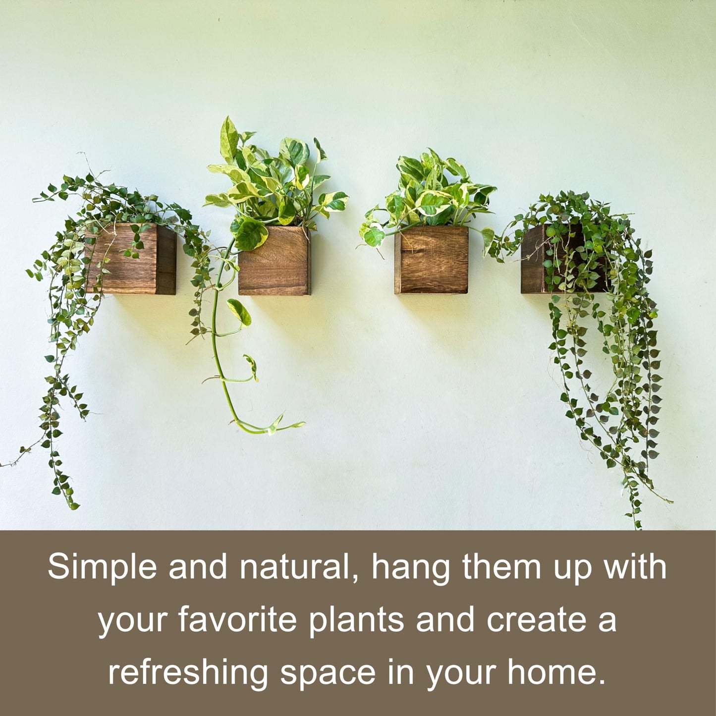 LaLaGreen Wood Planter Boxes for Indoor Plants (4x4 Inch, 6 Pack) Small Square Wall Mounted Planters Flower Pot, Herb Wooden Box Hanging Plant Holder Outdoor Balcony Vertical Garden Modern Home Decor