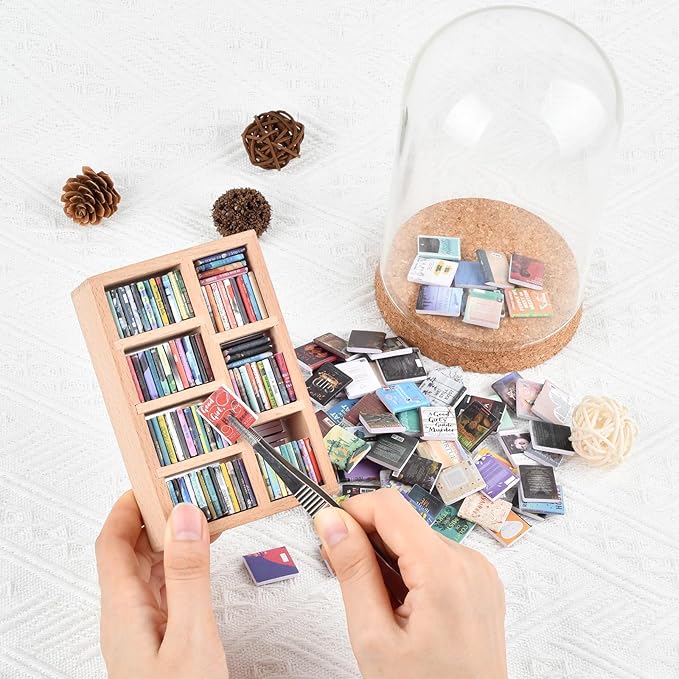 Anxiety Bookshelf, Miniature Bookcase, Mini Bookshelves