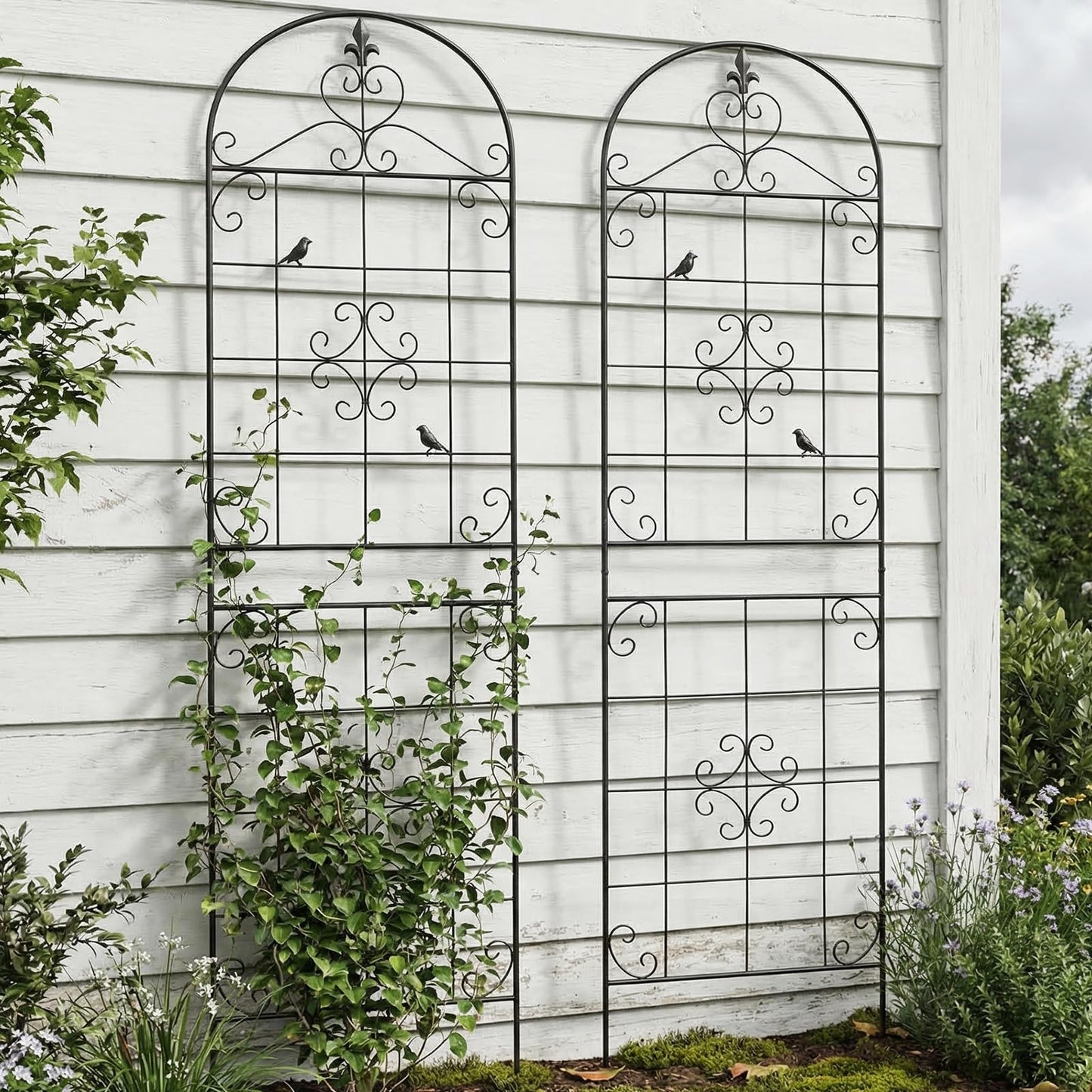 Garden Trellis for Climbing Plants Outdoor, Maidapulu 2 Pack 70.8x19.6 Inch Black Metal Trellis - Rustproof Lattice Support Panel with Easy Assembly for Roses, Clematis, Cucumbers, Vegetable Garden
