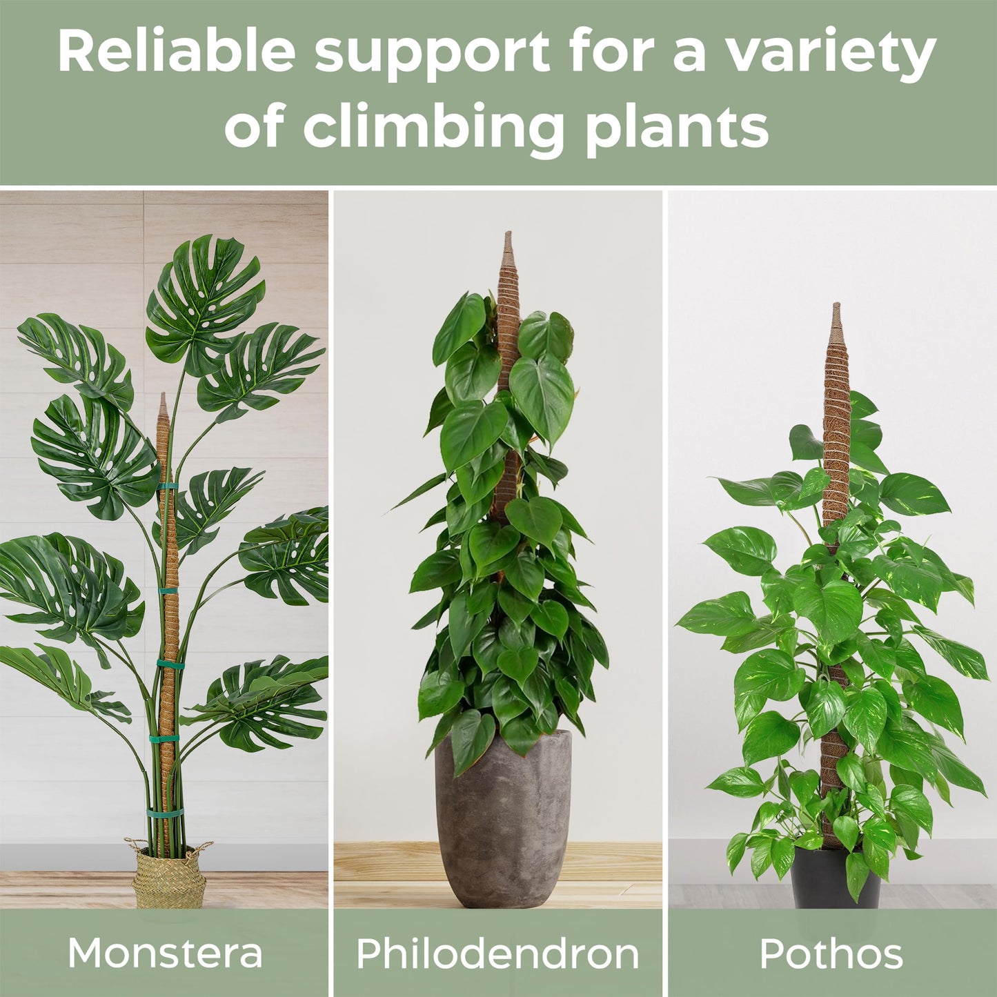 63'' Bendable Moss Pole Monstera Plant Support for Large Climbing Indoor Plants - Stakes for Potted Climbers - Tall Sticks Indoor Trellis for Houseplants - Accessories for Monstera Pot