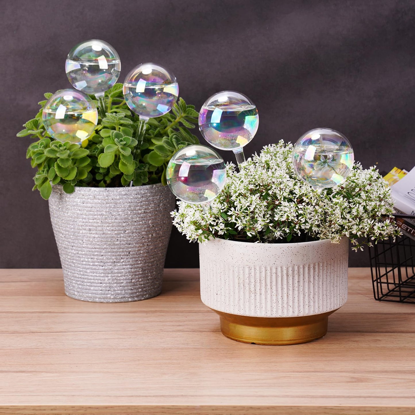[6 PCS] Light Iridescent Rainbow Gradient Color Clear Glass Self-Watering System Spikes, Automatic Plant Waterer Bulbs