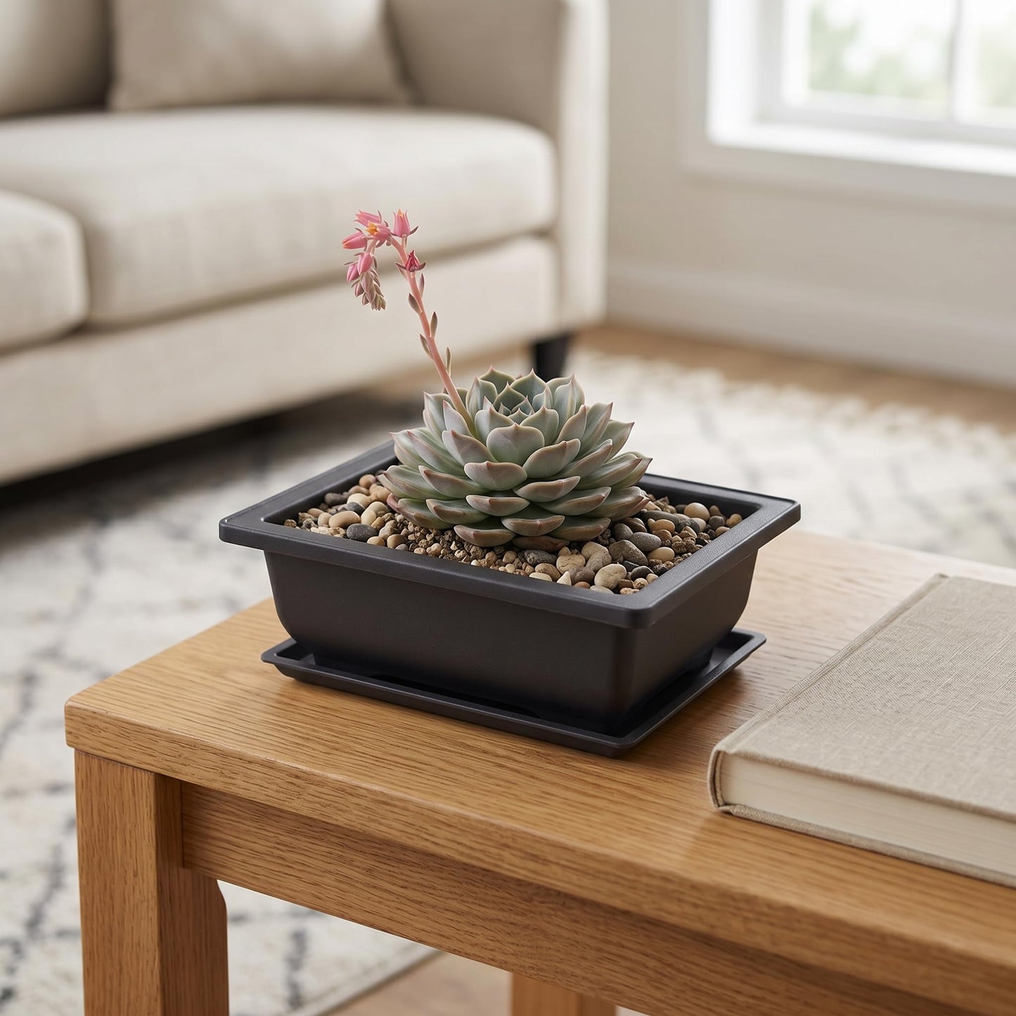 KINJOEK 15 PCS 6.5 Inch Plastic Bonsai Training Pots with Drainage Trays, Rectangular Plant Bonsai Tree Pot, Flower Succulent Growing Seedling Pot Container Planter for Garden Indoor Home Decorative