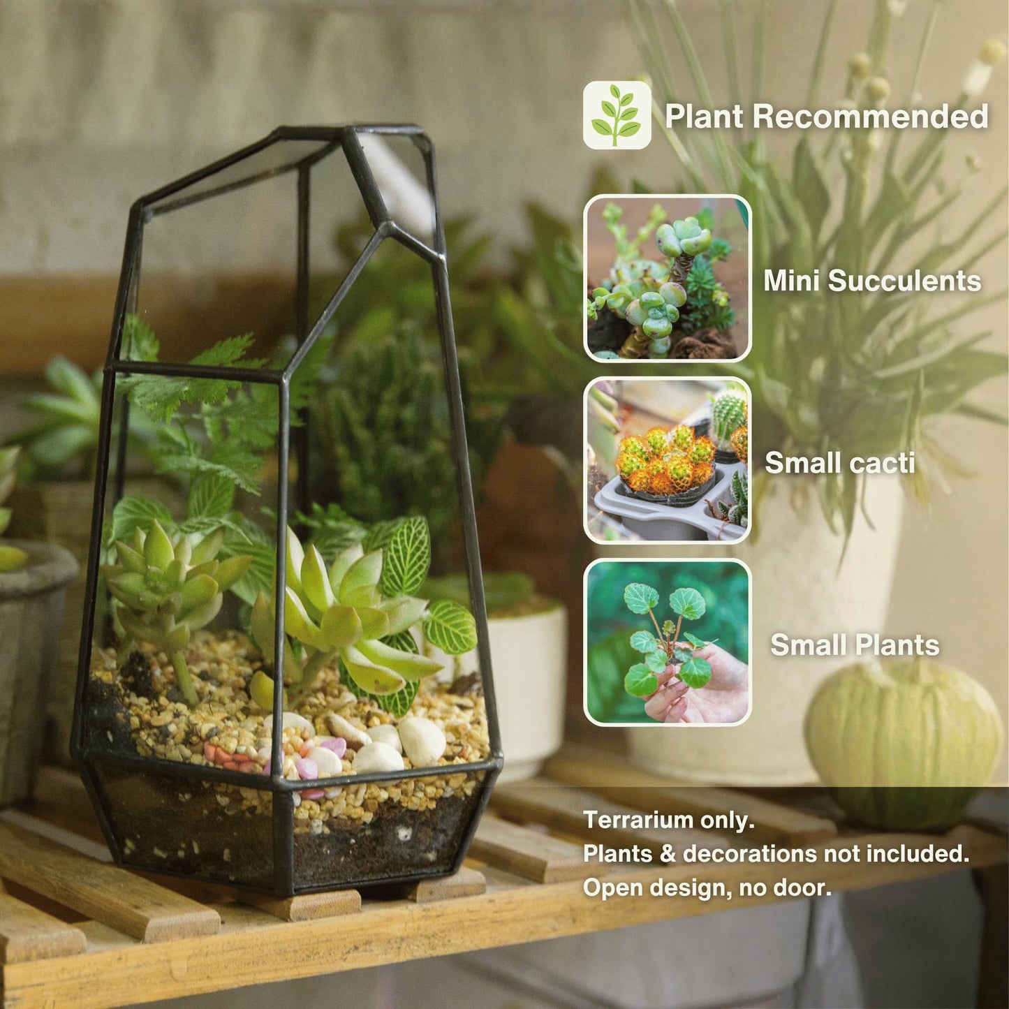 NCYP Small No Door Glass Geometric Terrarium - 4.9 x 3.9 x 7.4 Inches Irregular Clear Terrarium Pot for Mini Succulents, Small Cactus, Indoor Garden Tabletop Decoration (No Plants)