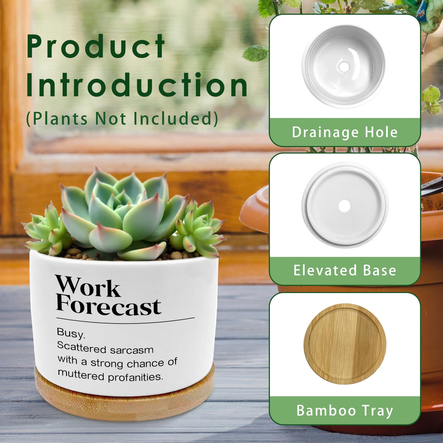 ROXMART Work Forecast Funny Plant Pots, Office Humor Gifts Succulent Planters, Funny Sarcastic Gifts for Coworkers Ceramic Plant Flower Pots for Home Office Desk Table Shelf(No Plants)