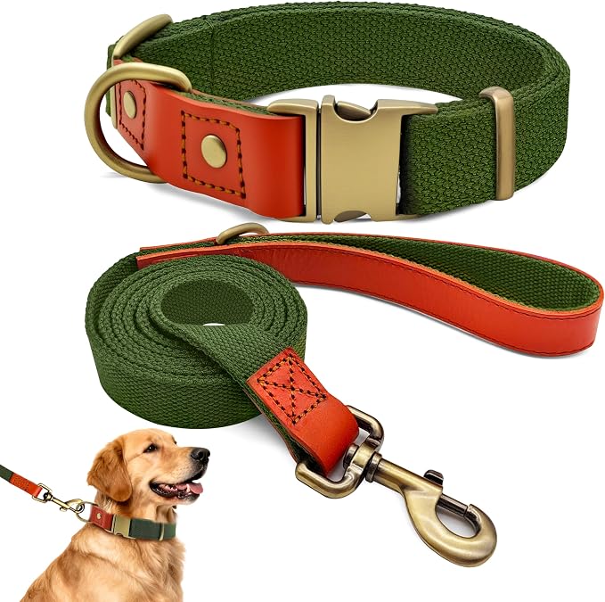 Nylon Dog Leash and Collar Set with Metal Quick Release Buckle, Adjustable, Durable High-Density Fabric, Breathable, Soft and Comfortable, No Pull for Walking and Training, Green, XL (16.9"-26")