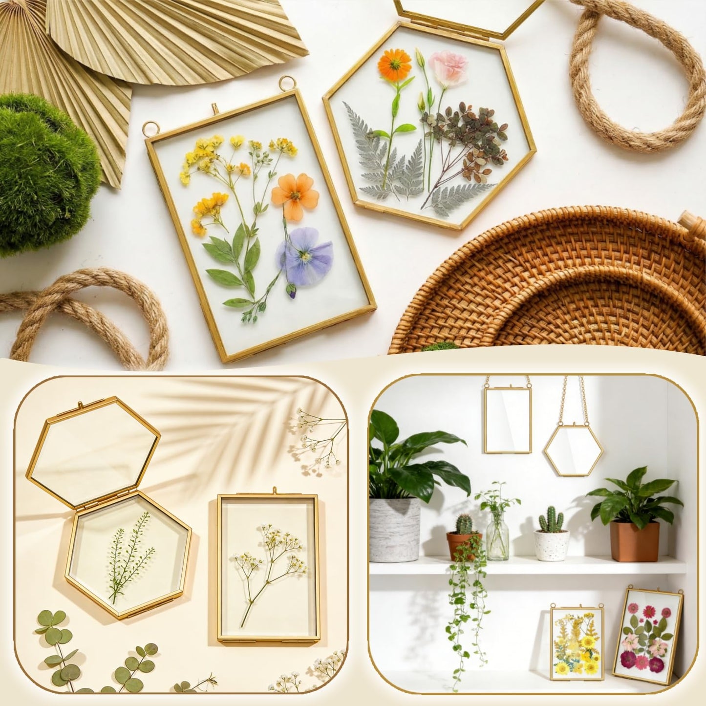 AVLA 3 Pack Pressed Flowers Glass Frames, Brass Hanging Picture Frames with Chain, Small Golden Floating Photo Frame, Clear DIY Artwork Display Frame for Wall Decor, Dried Plant Specimen