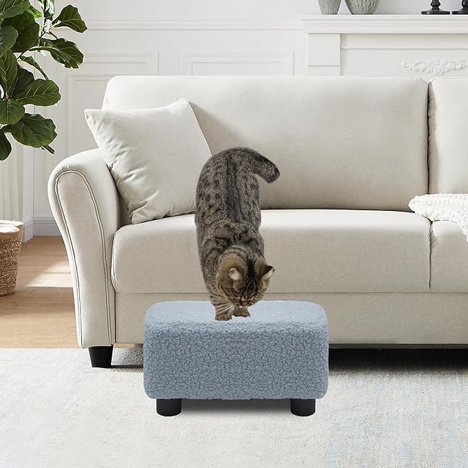 CAROLMADE Small Foot Stool Ottoman Footstool