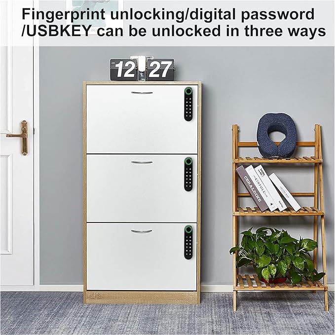 Fingerprint Cabinet Lock, Smart Electronic Cabinet Locks, Combination Password