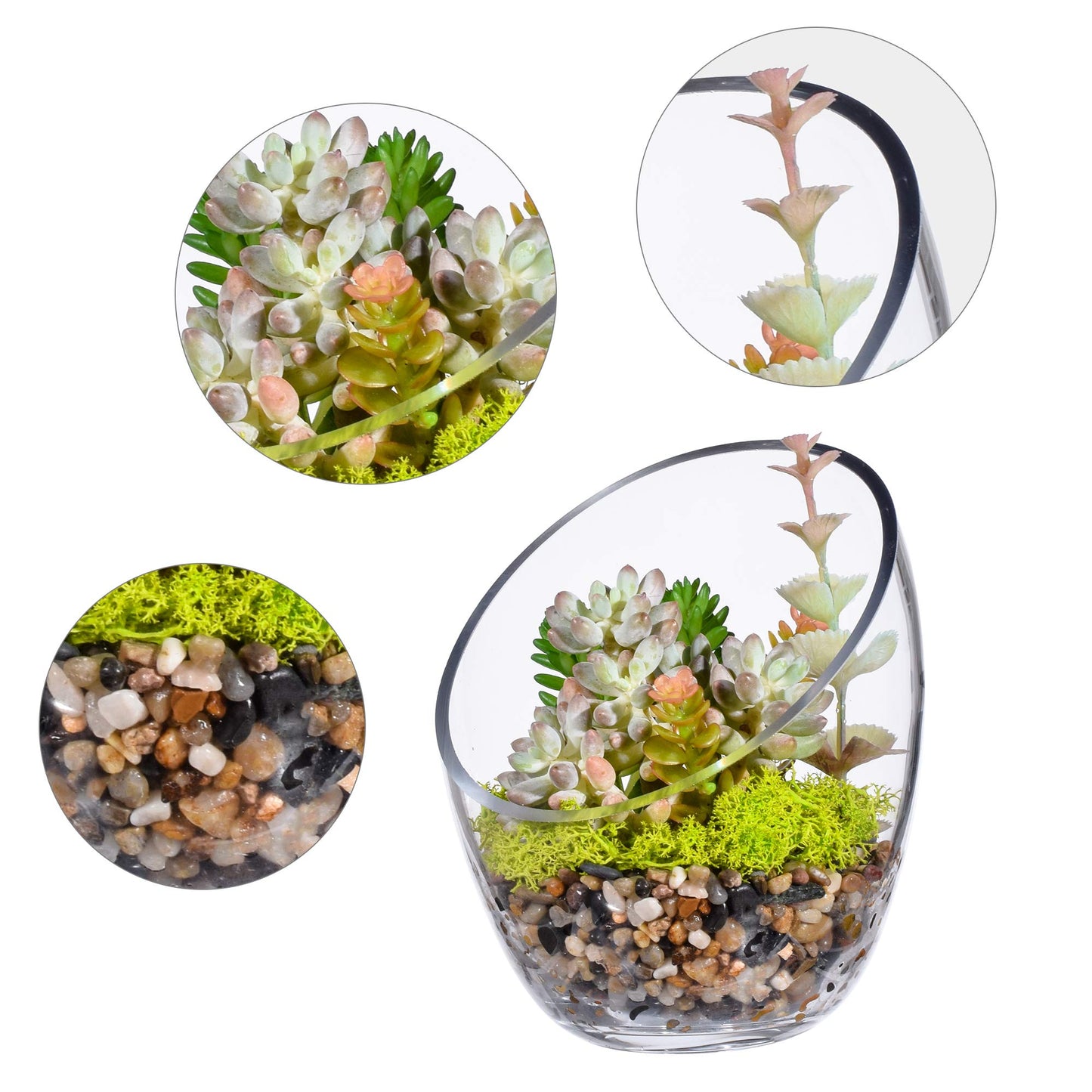 KNIKGLASS Clear Slant Cut Bubble Bowl, Fish Bowl & Plant Terrarium, Candy Jar Slant Cut Globe Vase Center Piece, Round Flower Vase, (6.9“ Tall .5.5“ Wide) …
