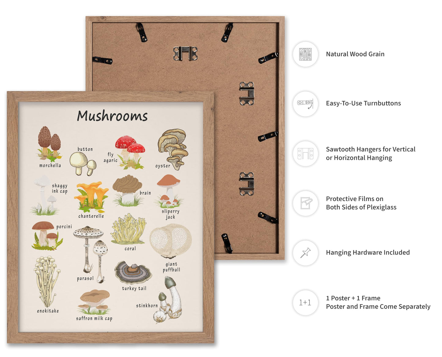 Poster Master Mushroom Print - Botanical Poster - Learning Materials Art - Educational Wall Design - Gift for Students & Teacher - Decor for Classroom, Library or Nursery - 11x14 Beige Framed