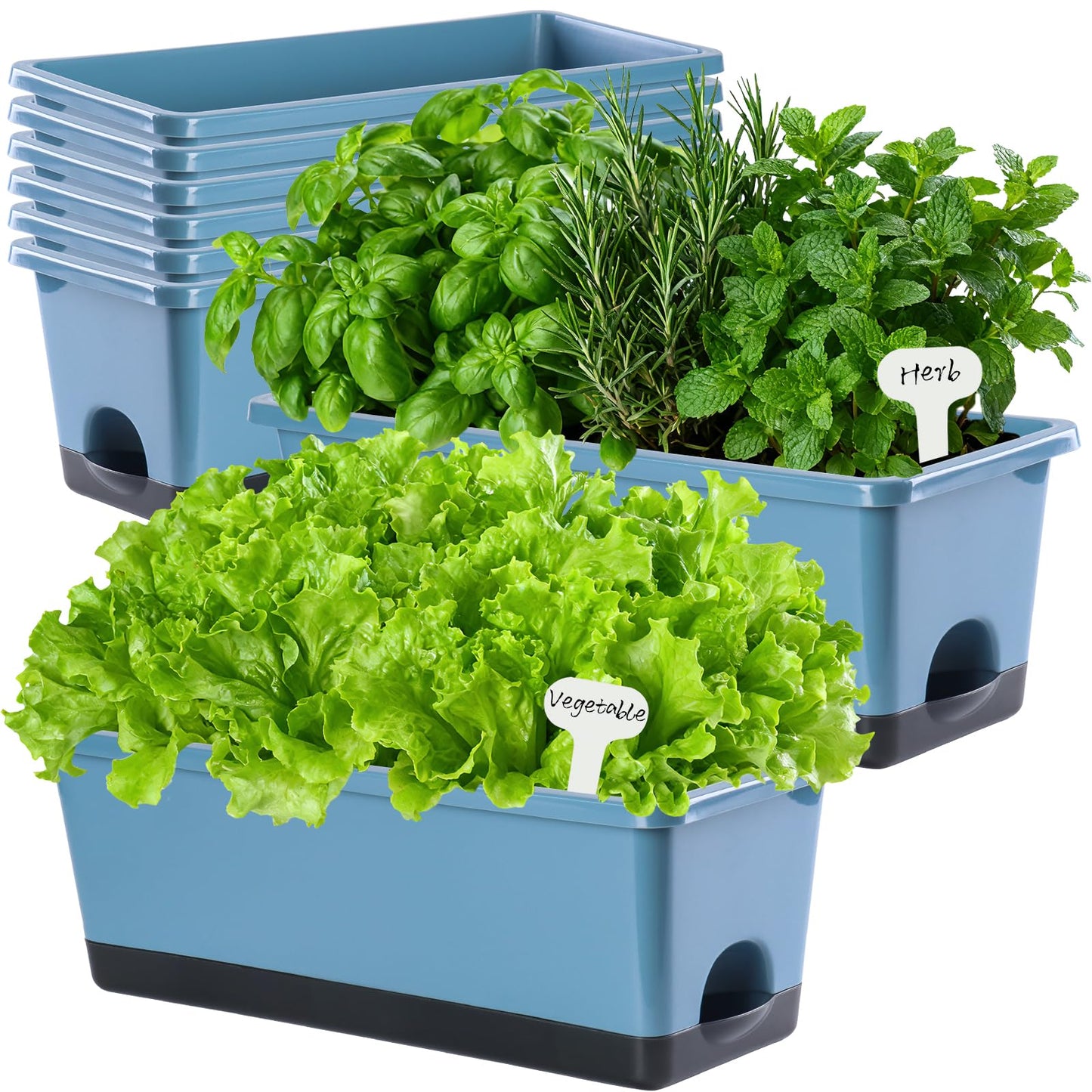 Oliz Window Box Planter 8 Pcs, 17 Inches Rectangle Flower Pots with Drainage Holes and Trays, Vegetable Planters for Windowsill Patio Garden Balcony Home Porch Yard Indoor Outdoor (Blue)