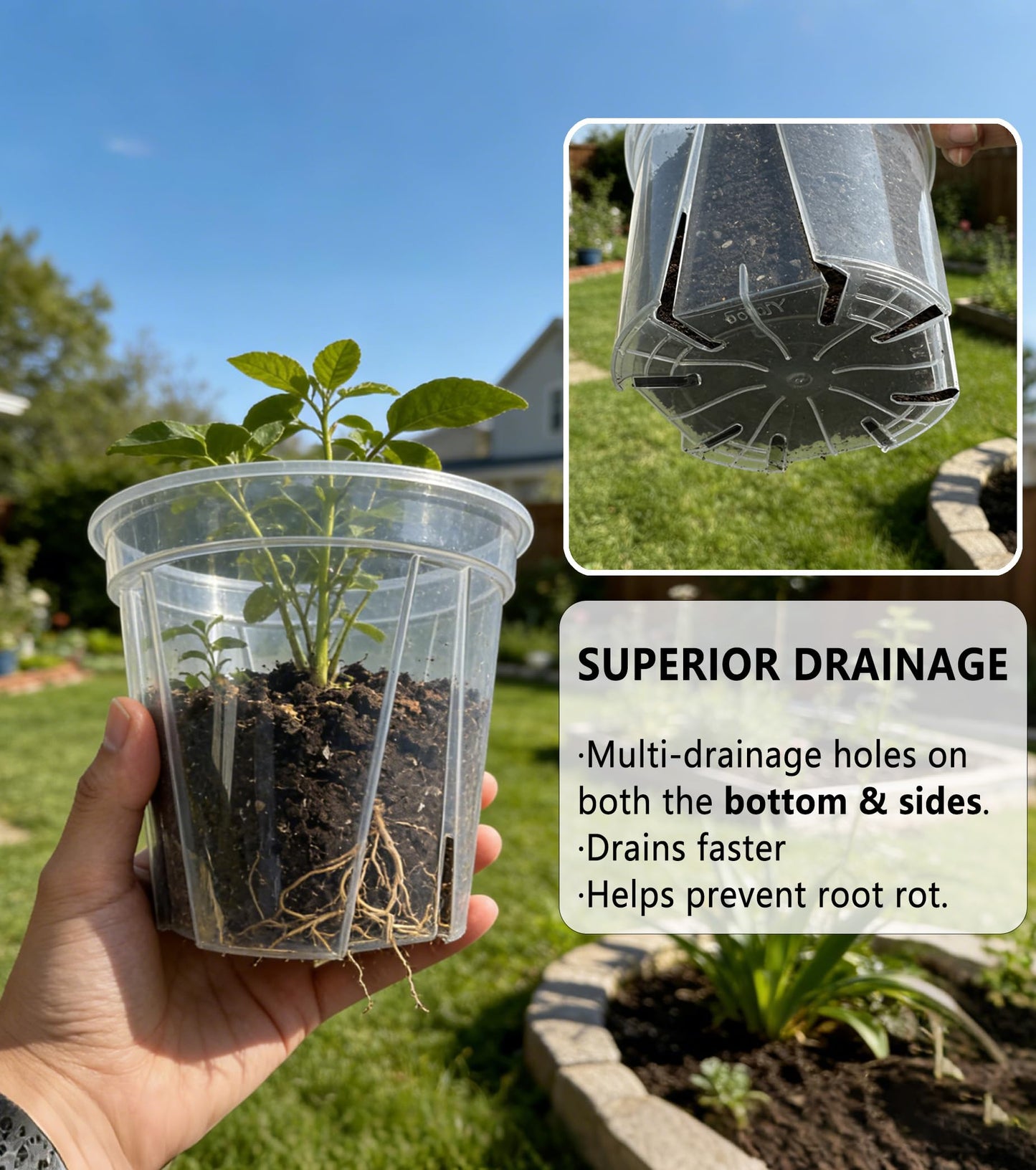 RZOIKZOI 12-Pack Thick Clear Nursery Pots(4/5/5.5/6.3 Inch) – Transparent Plastic Plant Pots with Drainage Holes & 12 Labels, Assorted Sizes for Seed Starting, Succulents, Indoor Outdoor Use