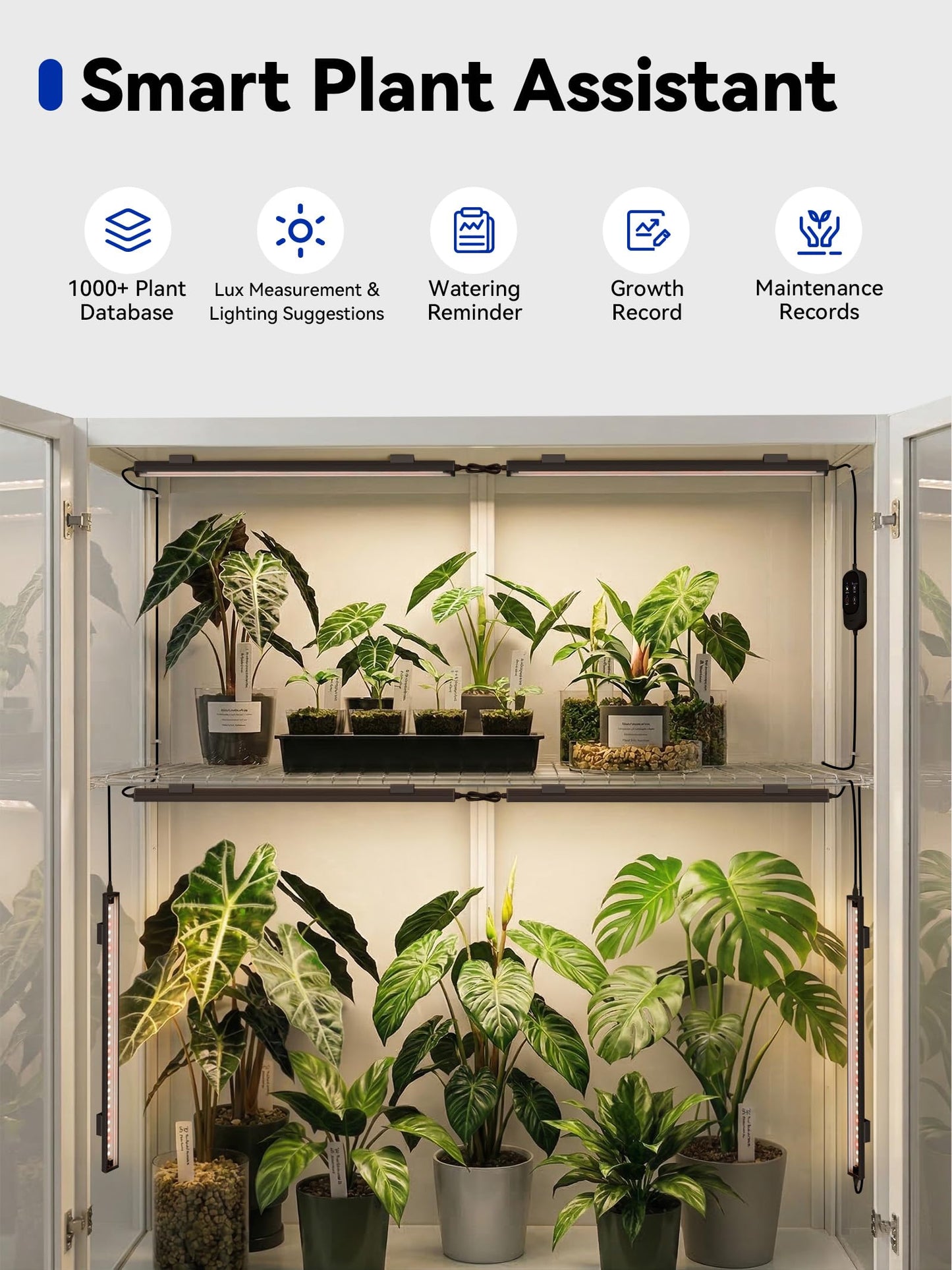 GLOWRIUM Smart Grow Lights for Indoor Plants with APP, Full Spectrum Grow Lights for Seed Starting, G6 Plant Light Strip with auto Timer, 3 Angle dimming Levels for Plant Shelf, 6-Pack (Black, 48W)