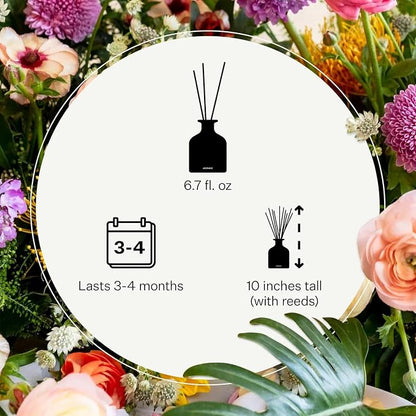 Apotheke Luxury Scented Reed Diffuser for Home, Santal Rock Rose - 6.7 Fl Oz Essential Oil Aromatherapy - 10 Rattan Scent Sticks Room Diffuser - Long-Lasting Fragrance for Bedroom, Home, Bathroom