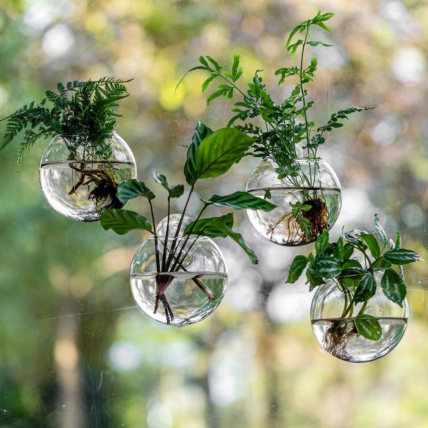 Window Propagation Stations, Oblate Glass Terrariums Planter with Suction Cup Hook, Wall Hanging Planters for Hydroponics Plants, Home, Office, Bathroom, Living Room Decor, Gift for Plant Lovers (4)