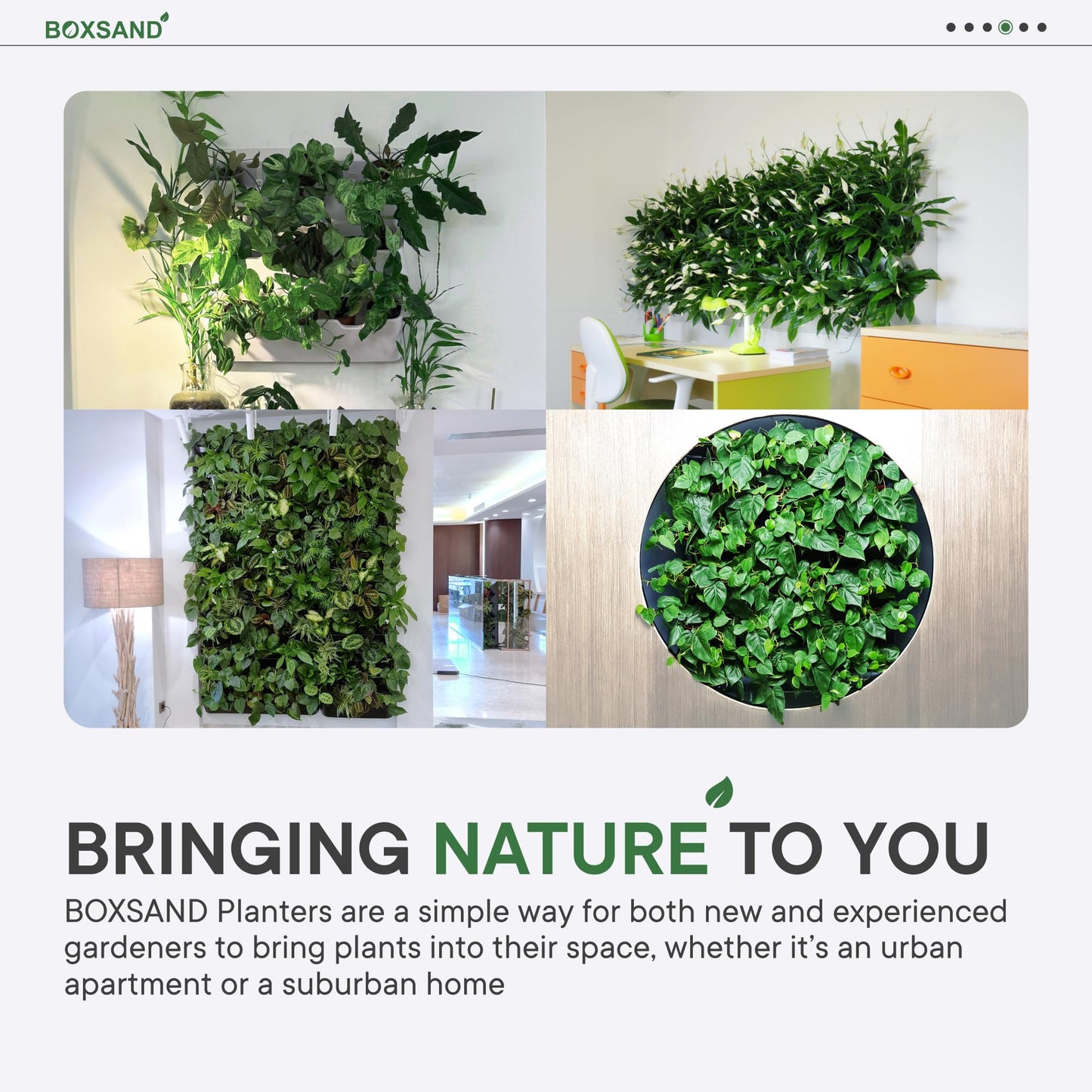 BOXSAND-6 Vertical Wall Planter (12"x26", White with Black Pots) – Living Wall for 6 Plants, Indoor/Outdoor Vertical Garden System, Easy 2-Screw Install