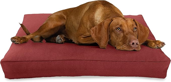 Large - 42 x 28 x 5 - Cranberry Premium Organic Hemp Dog Bed - CertiPUR Fill - Removeable Cover
