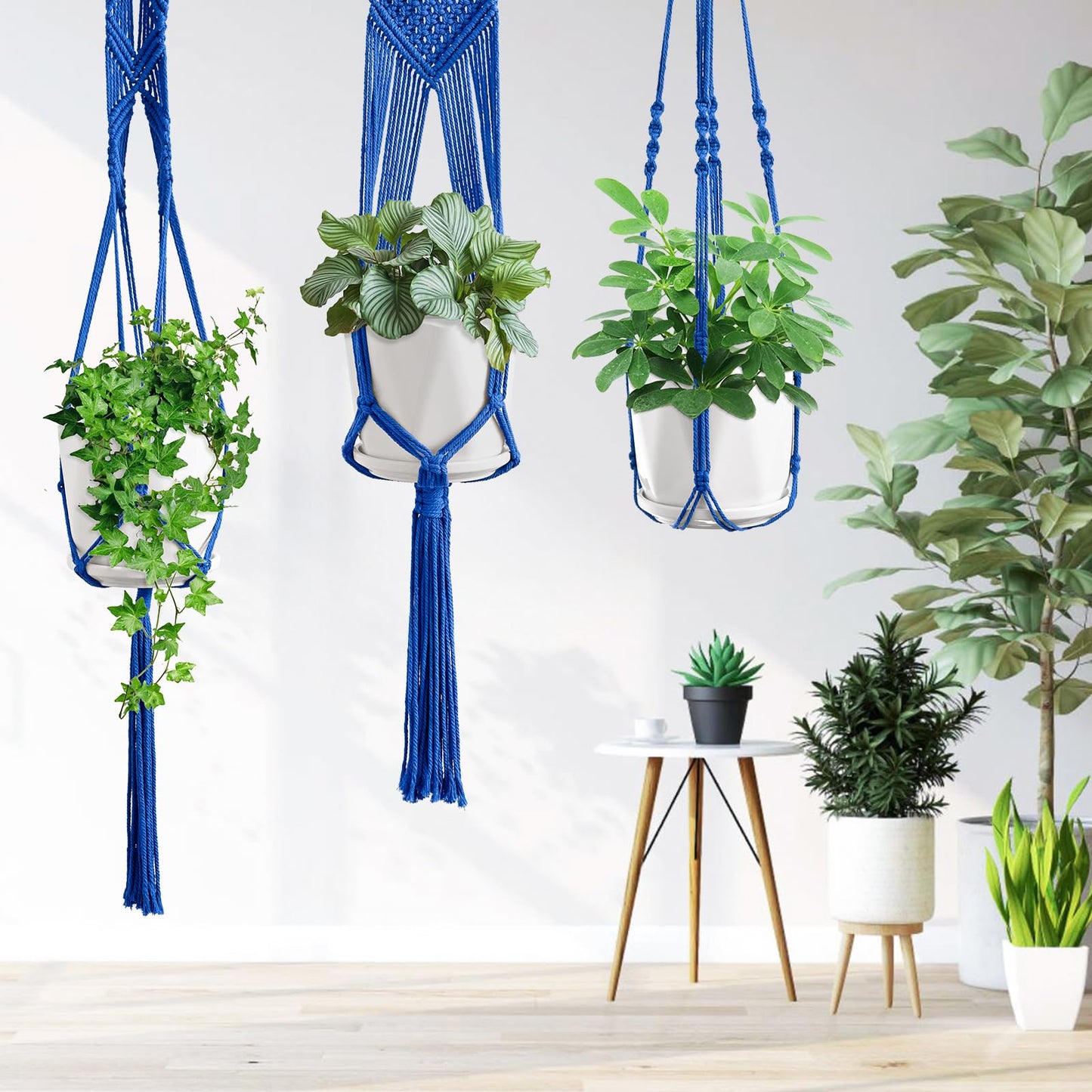 SFENNGPET Macrame Plant Hangers, 6Pack Hanging Planters for Indoor Plants w/ 6 Set Hangers Kit Handmade Macromay Plant Hangers Indoor Flower Pots Holder Stand for Boho Home Décor (POTS NOT Included)