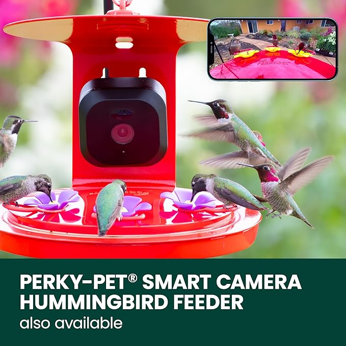 Perky-Pet Solar Powered Smart Bird Feeder with Camera - Squirrel-Resistant, 3.2L Capacity, Motion Activated 1080p HD WiFi Live Stream Camera, SPCAM, SPCAMSLR - Camera Feeder Gift Idea, Blue