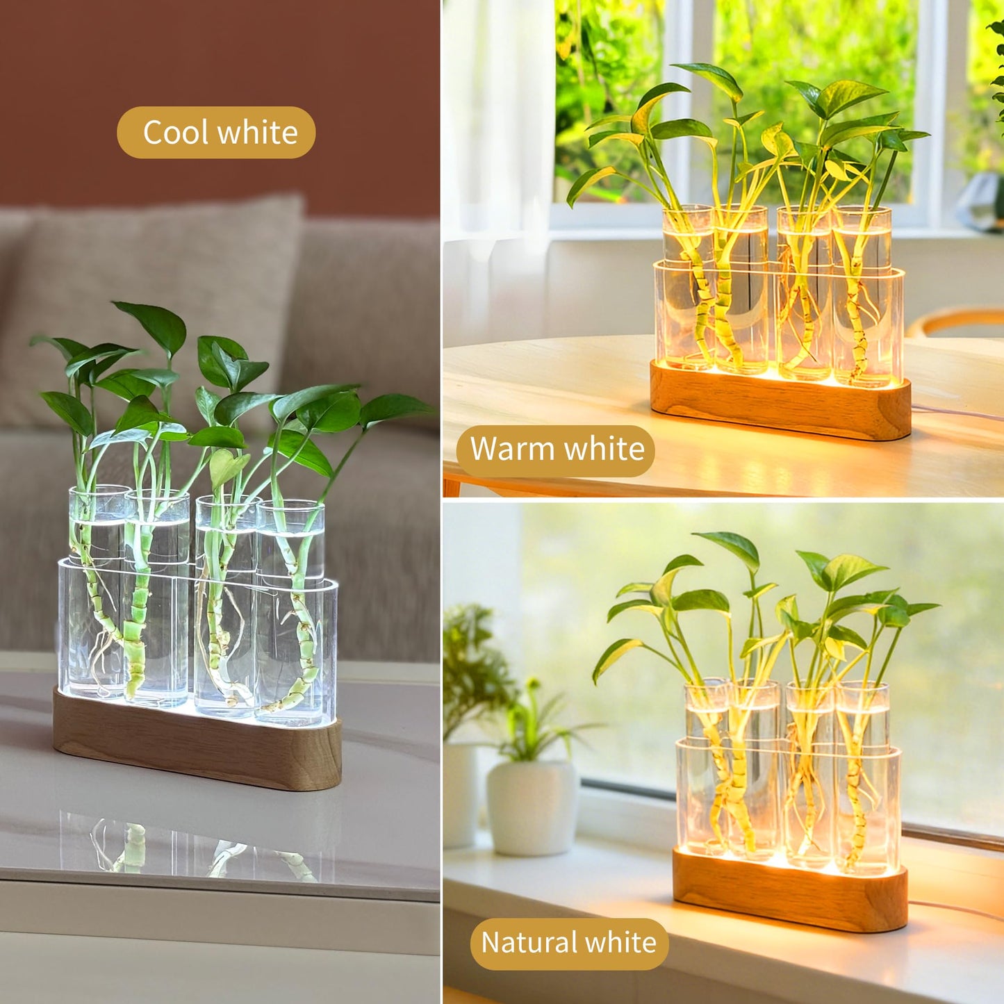 Plant Propagation Station with LED Lights, 4 Glass Test Tubes, Oak Stand, 3 Lighting Modes 9-Level Dimming, Rear USB-C Hidden, for Window Sill Desk Shelf, Gift for Plant Lovers