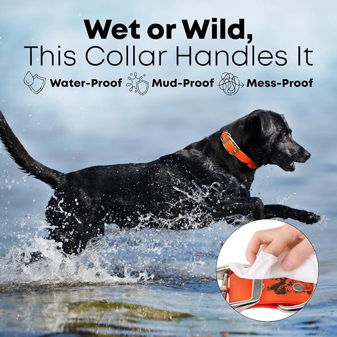 Regal Dog Products Medium Orange Waterproof Dog Collar and Leash Set | Heavy Duty Double Buckle & D Ring - 5'ft Leash | Adjustable Biothane Dog Collar | Chew Resistant Waterproof Collar for Dogs