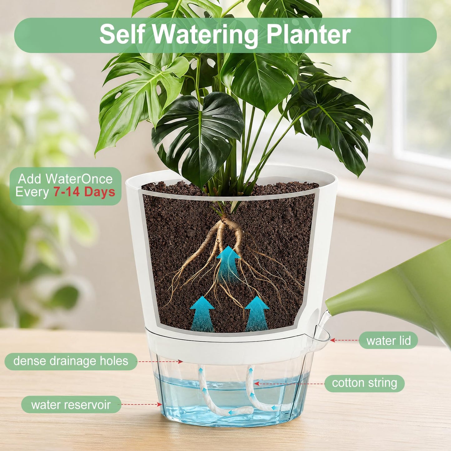 Hayder 5/6/7 Inch Self Watering Pots for Indoor Outdoor Plants 6 Pack, Plastic Planter with Drainage Holes, Water Level Indicator & Deep Clear Reservoir, Modern Decorative Flower Pots