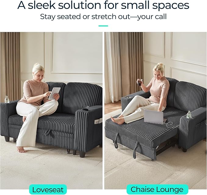 LINSY HOME Sectional Sleeper Sofa Pull Out Couches