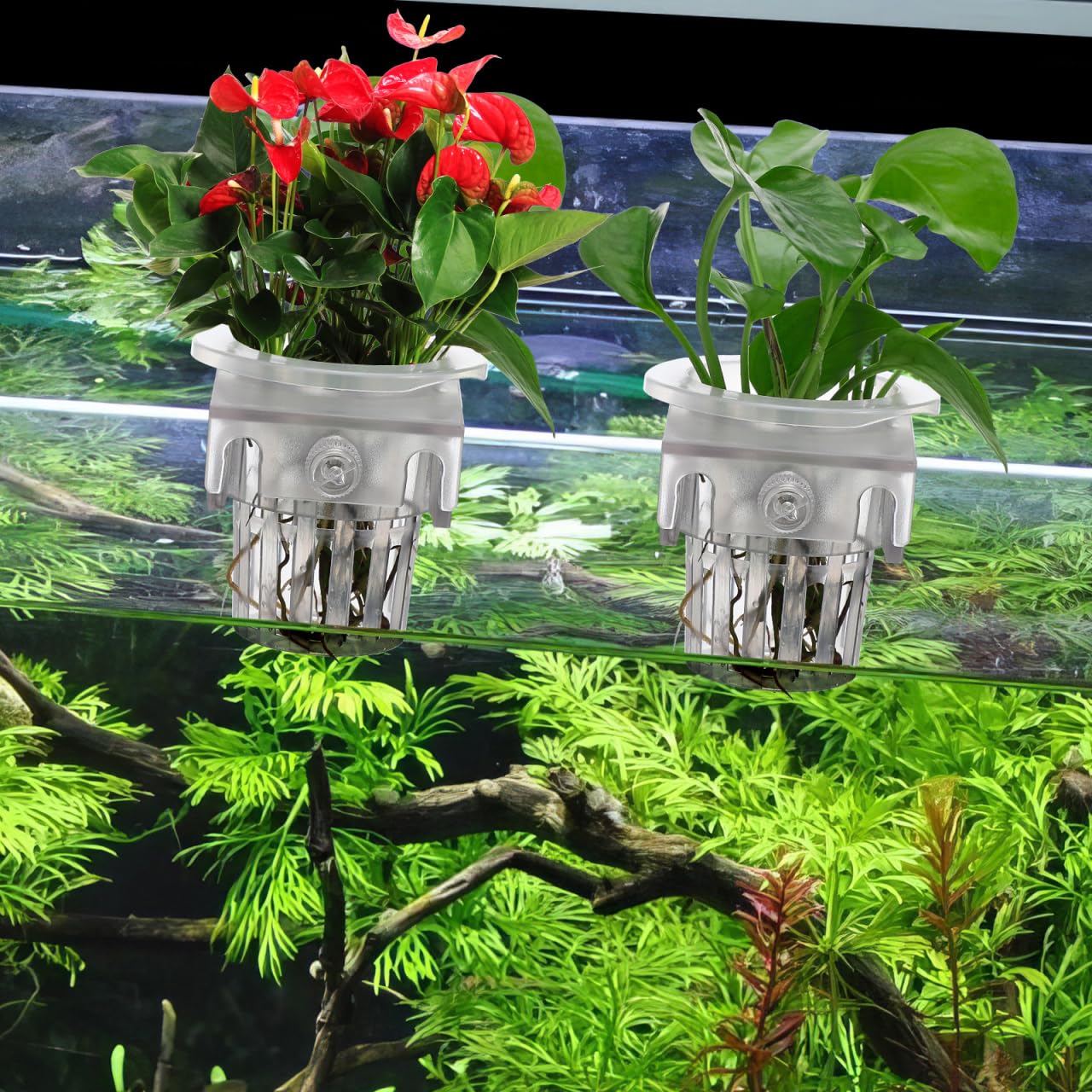 TOYANDONA 4pcs Aquarium Hanging Plant Holder Aquatic Planter Cups for Fish Tank Decoration Water Design for Aquatic Plant Cultivation