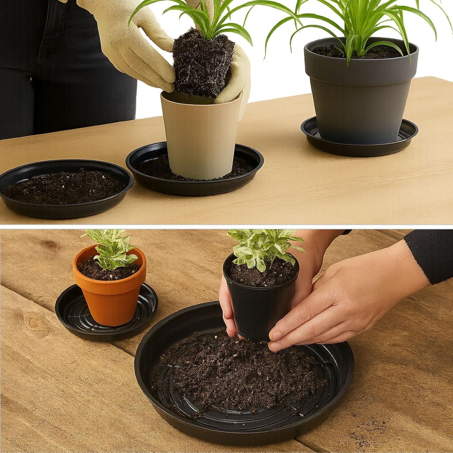 50 Packs 4 Inches Small Plant Saucers for Indoor Outdoor Use Heavy Duty Plastic Plant Plate Dish for Planter Bulk Round Flower Pot Drip Trays to Catch Water 4 to 20 Inch, Black