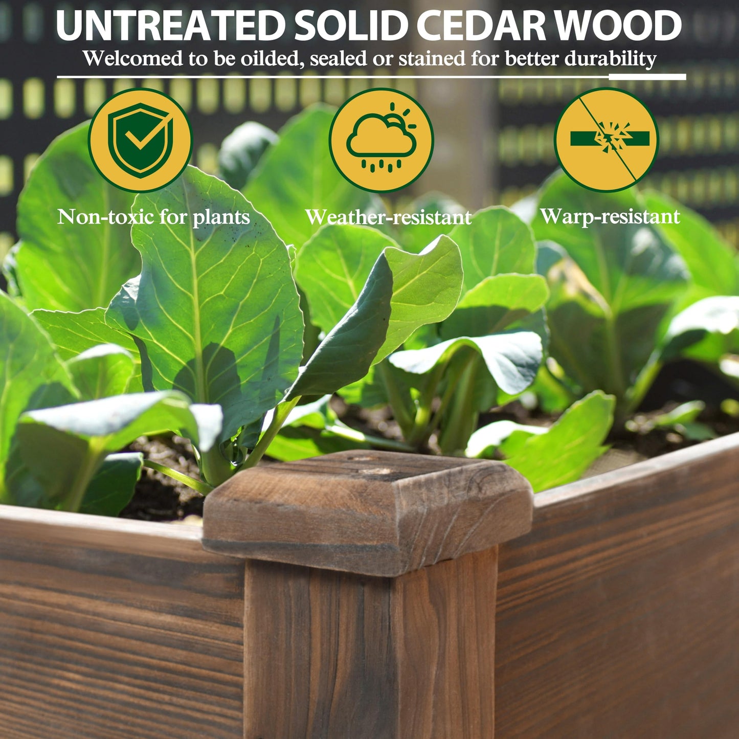BlueWish Cedar Raised Garden Bed, 48" W x 24" D x 30" H Raised Garden Bed with Detachable Black Liner, 3 Drainage Holes, Planter Box for Outdoor, Patio, Backyard, Rustic