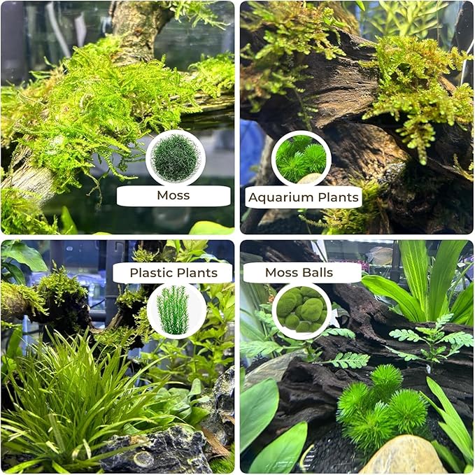 5-Piece 4-8 Inches Natural Aquarium Driftwood Decorations - Aquascape Decor for Fish Tanks, Betta Hideouts, Reptile Enclosures & Plant Attachment