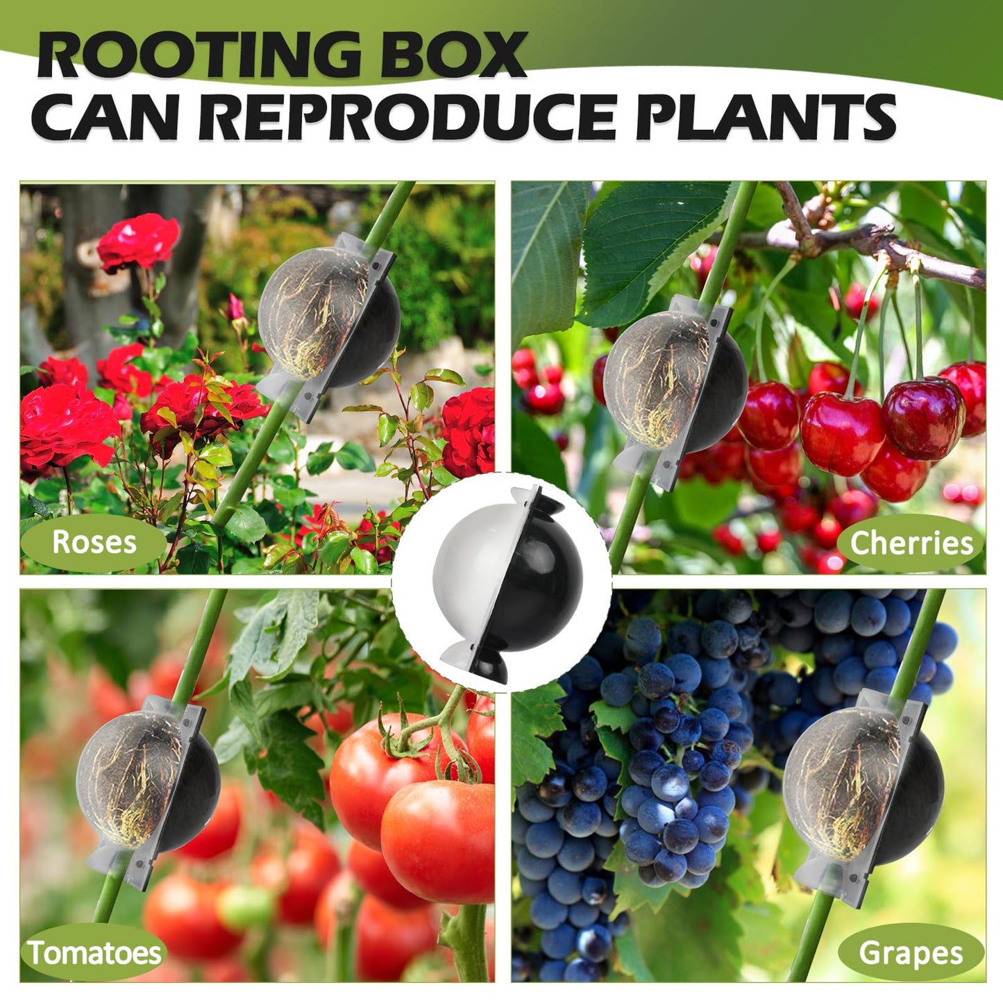 NVAAV Tree Root Growing Box, Air Layering Pods Propagation Kit, Reusable Half Transparent Plants Asexual Reproduction Grafting Ball for Fast Propagation Plants (12pcs Meidum)