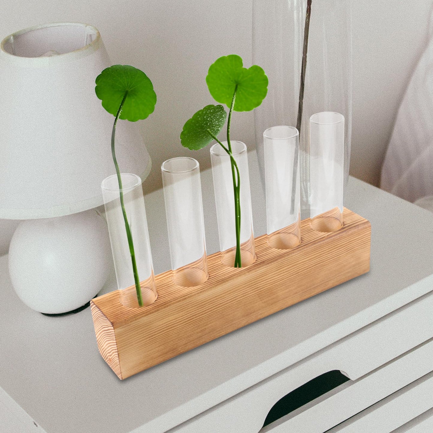 BESPORTBLE Hydroponic Glass Vase with 5-Hole Wooden Stand, Indoor Plant Terrarium for Desktop Decor and Air Plant Propagation, Creative Home Garden Holder
