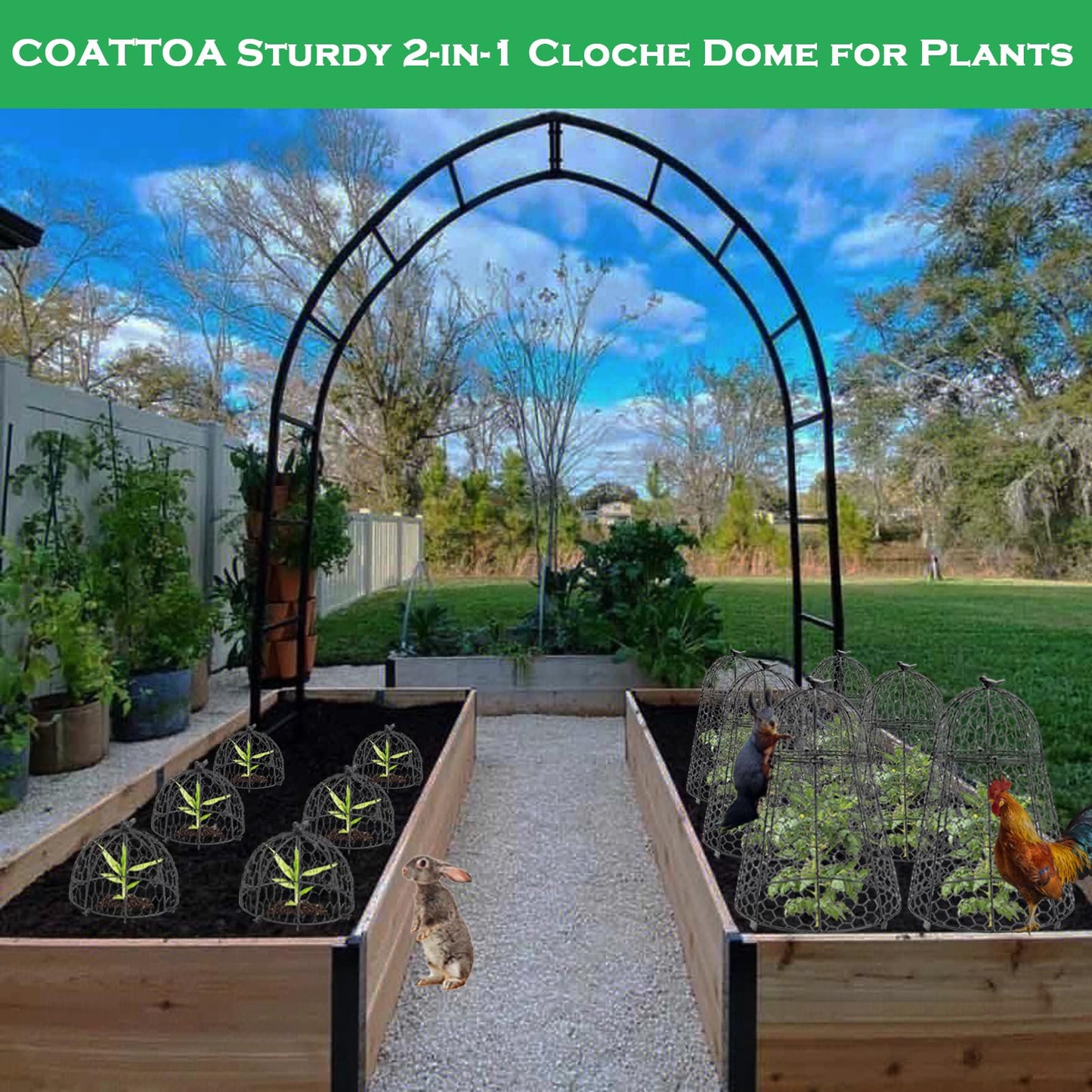 COATTOA Plant Protector Chicken Wire Cloche 4 PCS, Plant Protectors from Animals, 18.7×12 Inch Large Garden Cloches for Plants, Sturdy 2-in-1 Cloche Dome for Plants, Plant Protectors for Easy Pruning