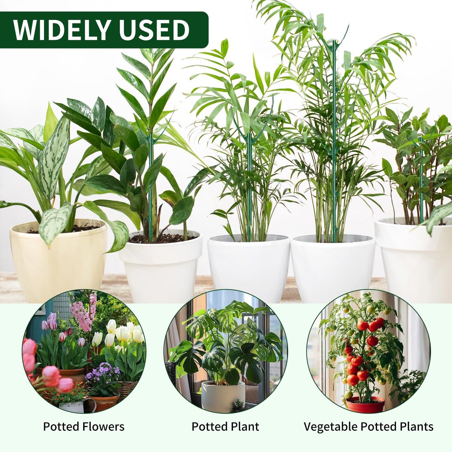 10 Pack Stackable Plant Support Stakes - Climbing Support for Indoor & Outdoor Use - Garden Accessories for Monstera, Pothos, Philodendron - Aesthetic Alternative to Moss Poles & Trellises