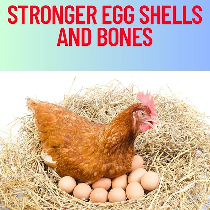 Red & Lime Stones Mix Grit Minerals, High Calcium Supplement, Designed to Promote Strong Bones, Better Digestion, and Overall Well-Being for Pigeons, Small Cage Birds, Duck and Chickens 3 Pounds Bag