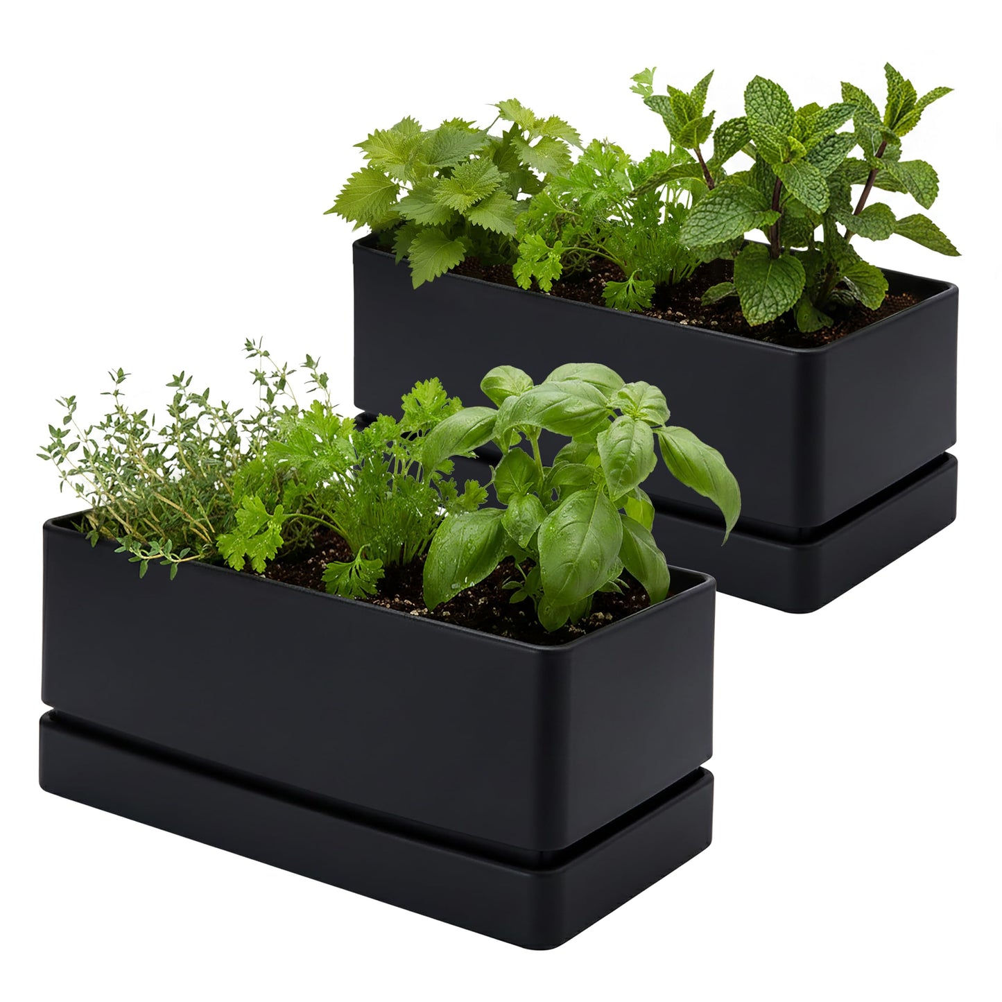 D'vine Dev 12" x 6.5" Window Box Planter, Rectangular Plastic Herb Planter with Drainage Holes & Saucer, Succulent, Cactus & Vegetable Pot for Windowsills/Balconies, Black, Set of 2, 76-P-B-2
