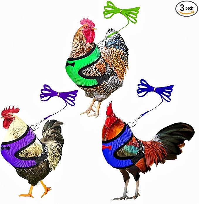 3 Pack Chicken Harness and Leash Set Adjustable Hen Vest with Matching Belt Breathable Mesh Training Harness Pets Leash for Hens Duck Goose Small Pet-Green&Purple&Blue,L