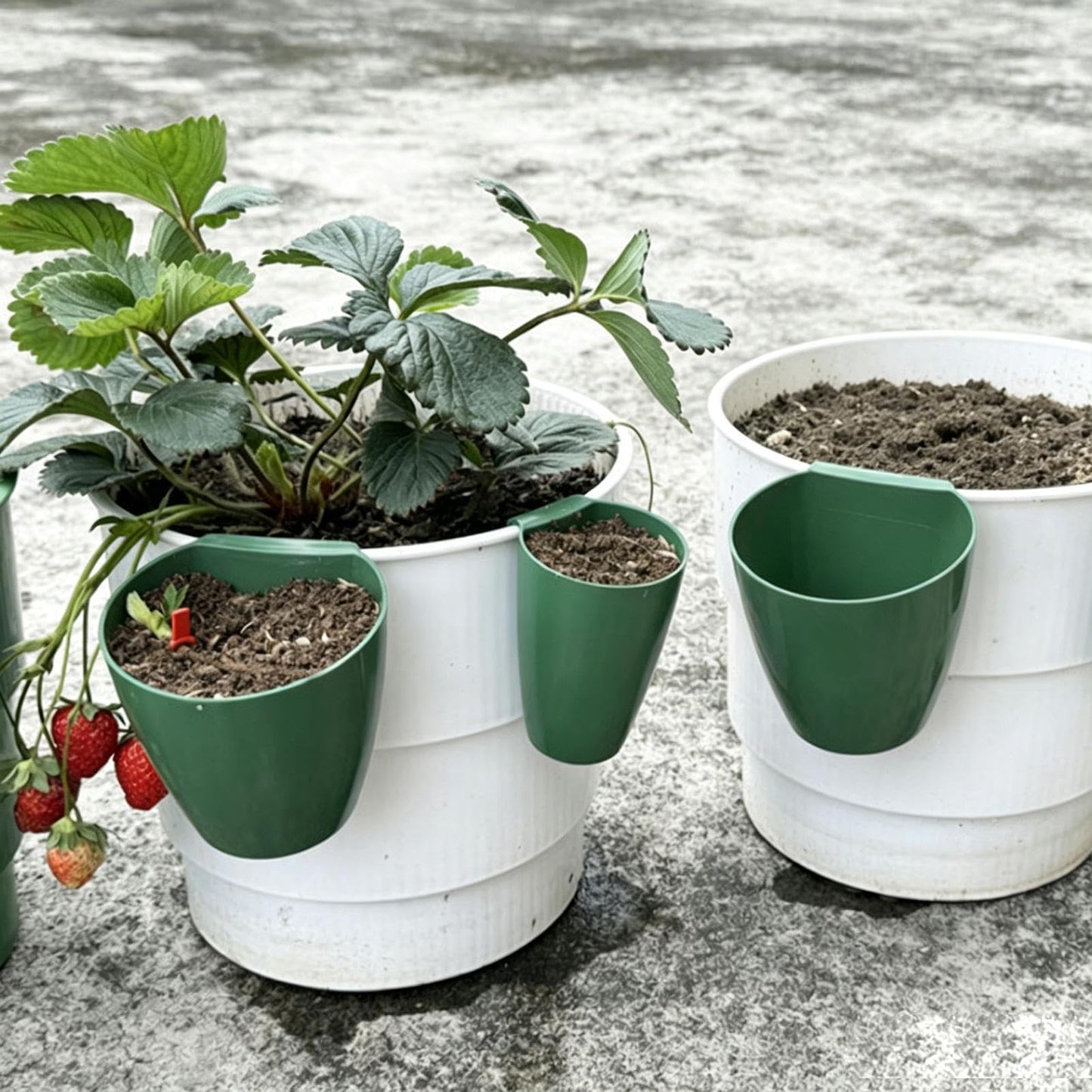 Strawberry Propagation Planter, Yard Seedling Cups, 3.35x2.36in Nursery Pots with Secure Runner Forks, Root Development Container, Botanical Starting Cup with Bottom Drainage Design, Indoor Outdoor