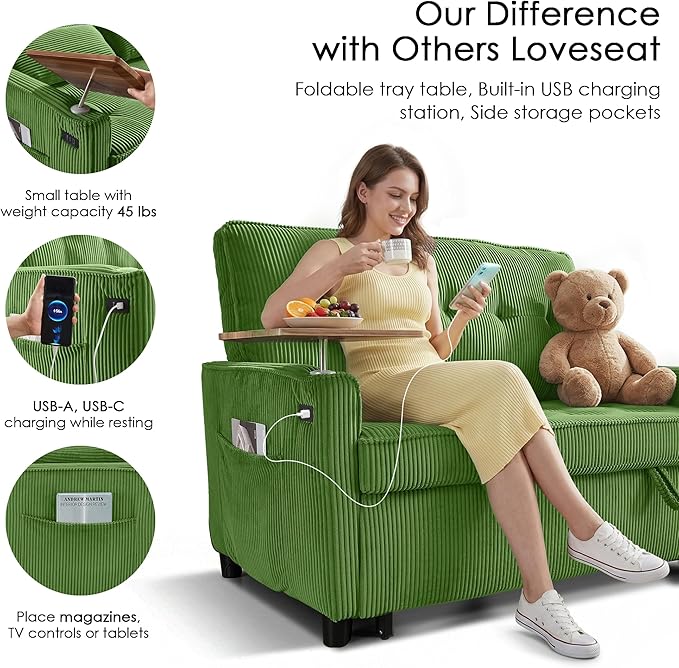 Sleeper Sofa Bed, Guest Room